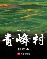 青峰村的故事免费阅读